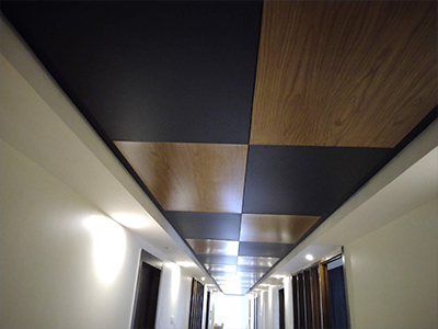 Linear Ceiling 2