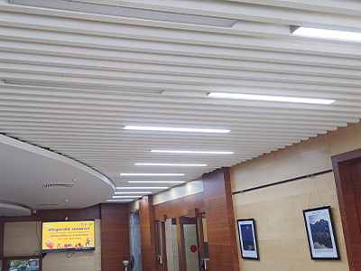 Linear Ceiling 1