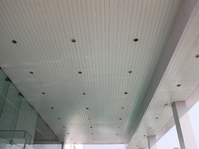 Clip-In Ceiling 2