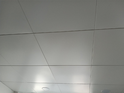 CLIP-IN TILE Ceiling 1