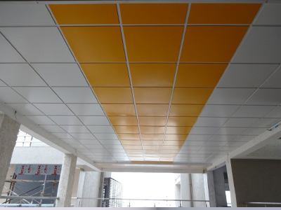 LAY-IN TILE Ceiling 2